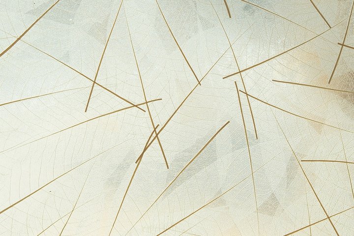 Ručno pravljena organska folija suvo lišće dezen - Avery Dennison Skellett Leaves - Rolna 1.36 m x 10 m1