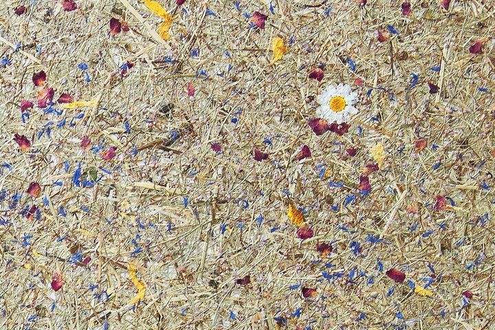 Ručno pravljena organska folija planinsko seno dezen - Avery Dennison Mountain Hay Marguerites - Rolna 1.36 m x 10 m1