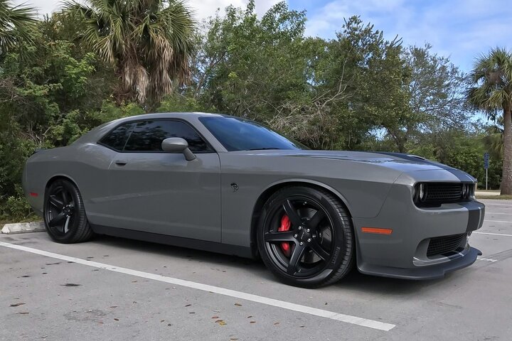 Avery Dennison Gloss Dark Grey4