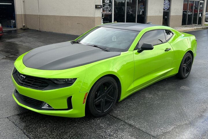 Mactac - Gloss Frog Green6