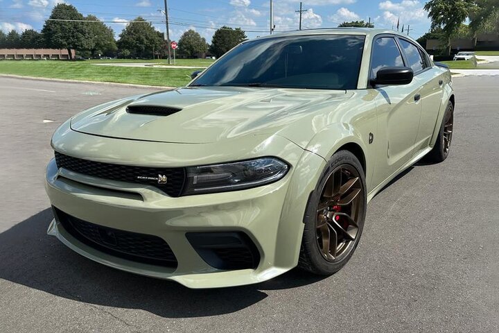 CFS - Khaki Green Super Gloss3