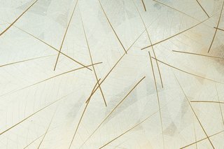Ručno pravljena organska folija suvo lišće dezen - Avery Dennison Skellett Leaves - Rolna 1.36 m x 10 m3