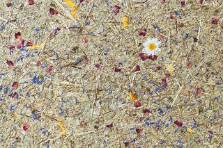 Ručno pravljena organska folija planinsko seno dezen - Avery Dennison Mountain Hay Marguerites - Rolna 1.36 m x 10 m3