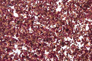 Ručno pravljena organska folija latice ruže dezen - Avery Dennison Rose Petals - Rolna 1.36 m x 10 m3